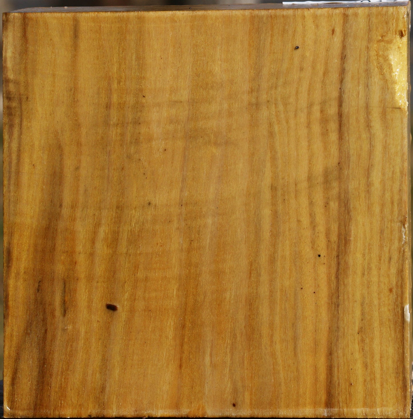 Mulberry Bowl Blank
