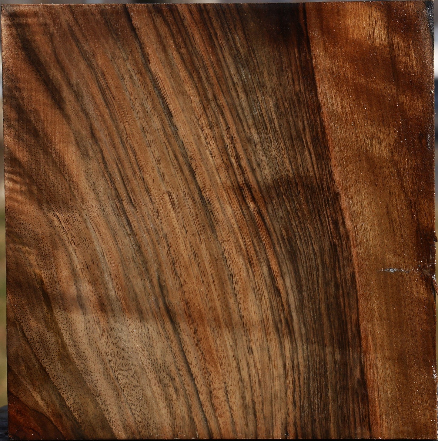 English Walnut Bowl Blank