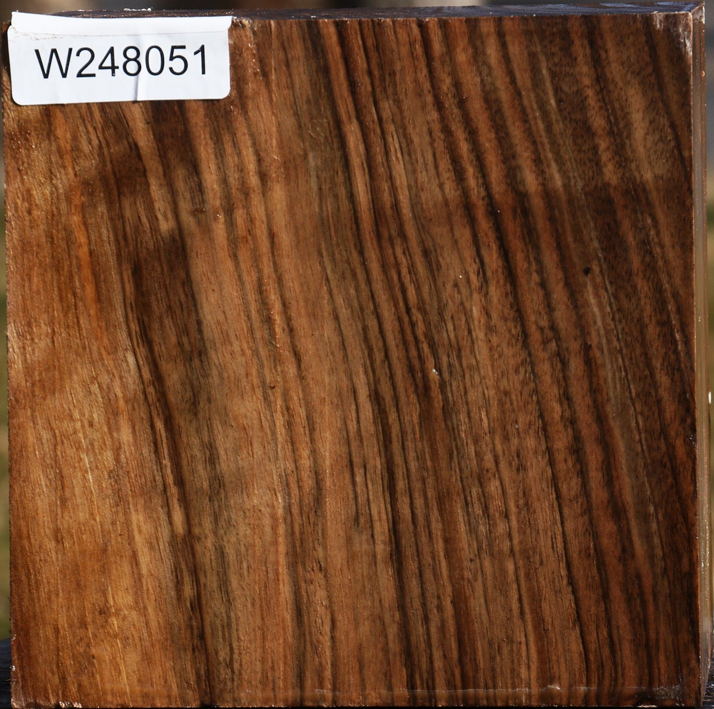 English Walnut Bowl Blank