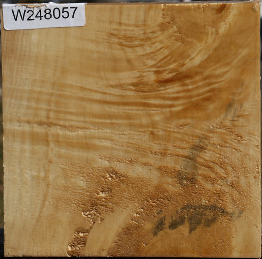 Figured Black Cottonwood Bowl Blank