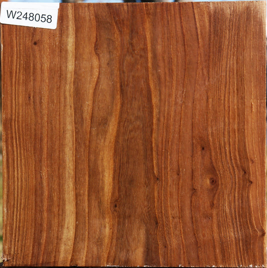 Elm Bowl Blank