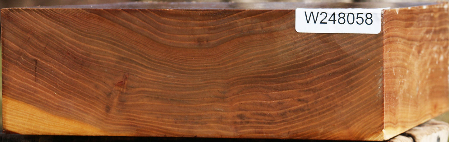 Elm Bowl Blank