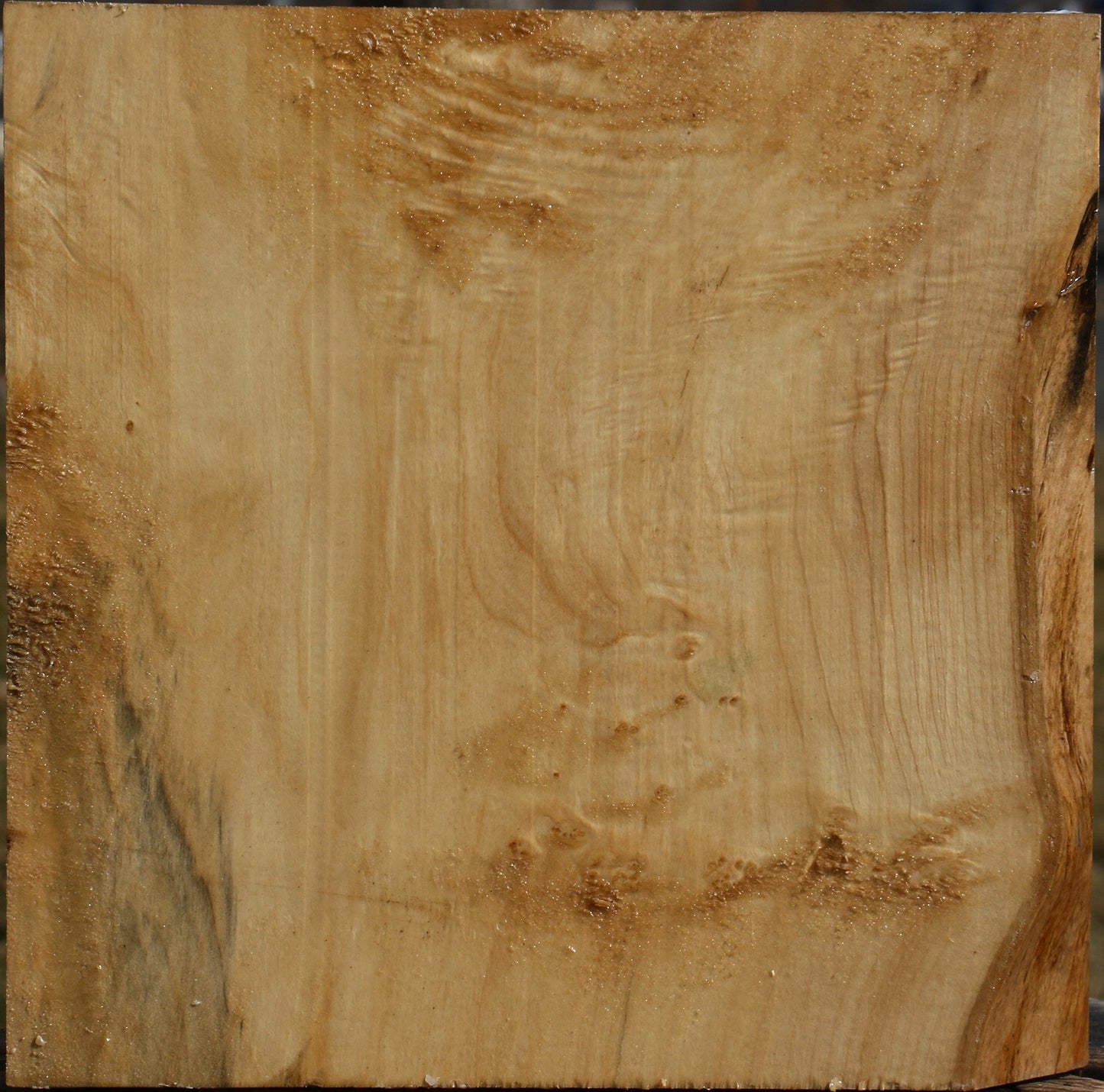Black Cottonwood Bowl Blank