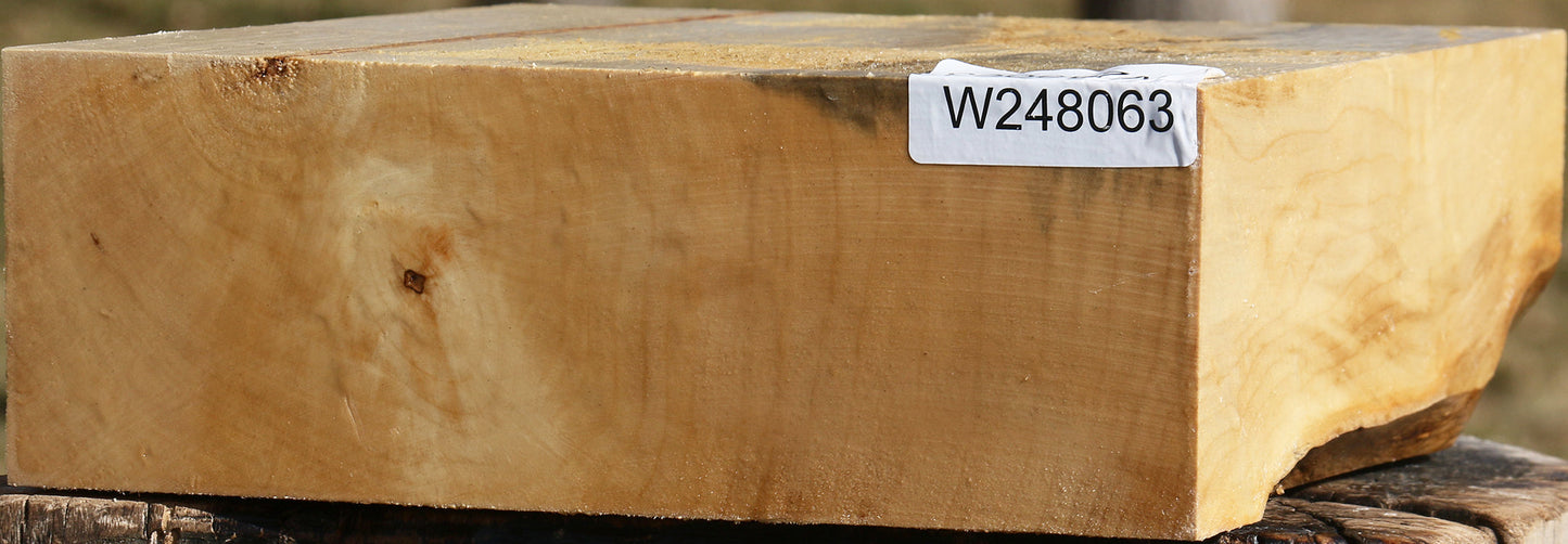 Black Cottonwood Bowl Blank