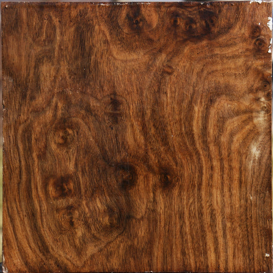 Claro Walnut Bowl Blank