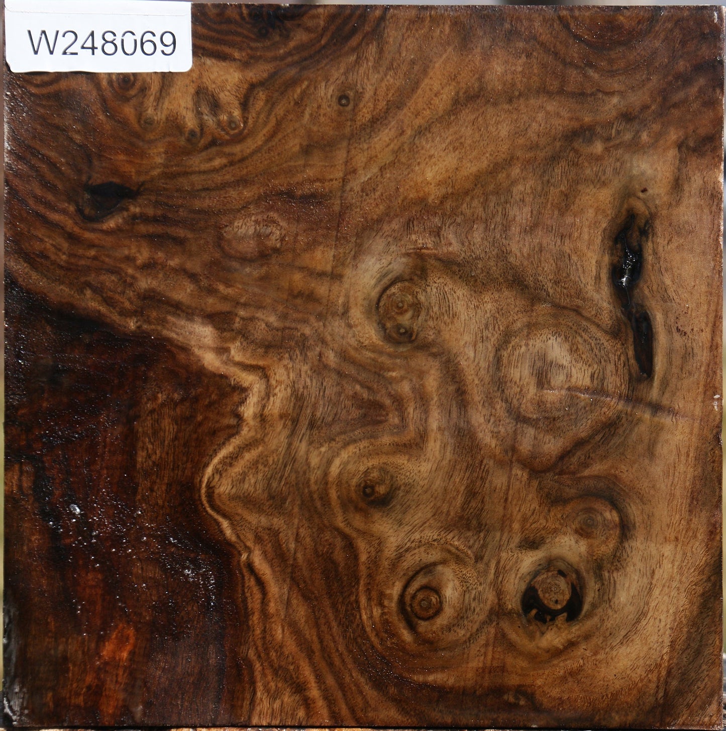 Claro Walnut Bowl Blank