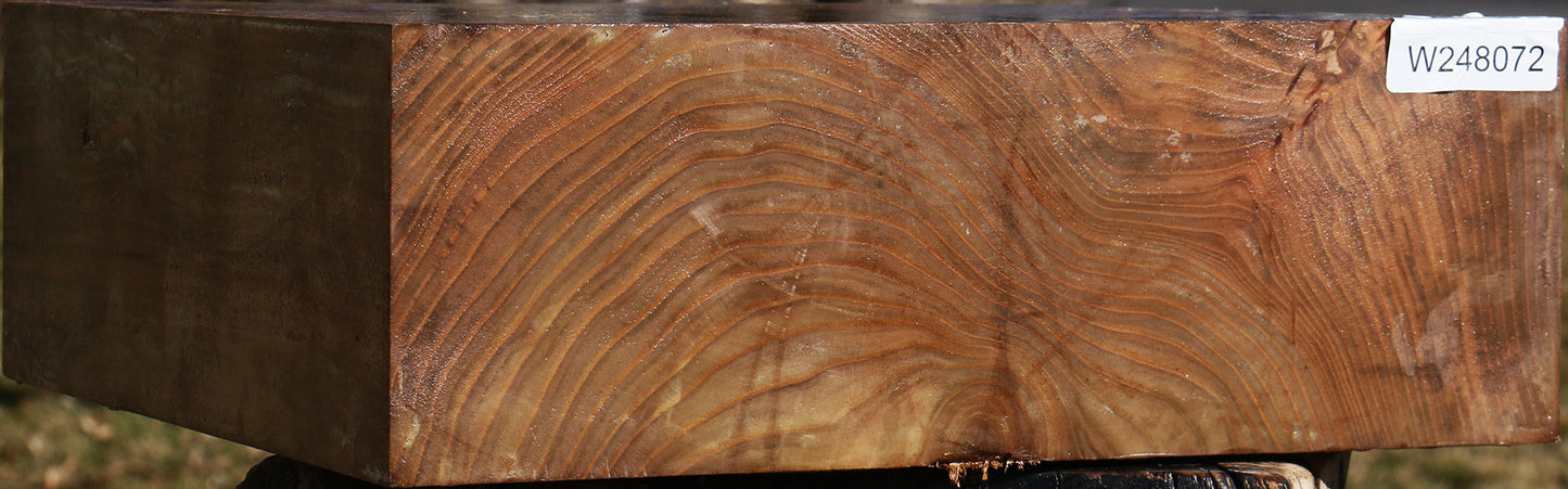Elm Bowl Blank