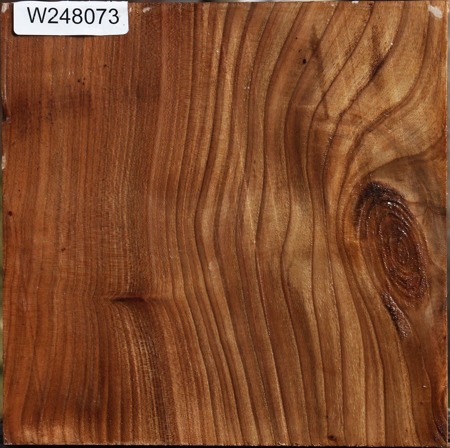 Elm Bowl Blank