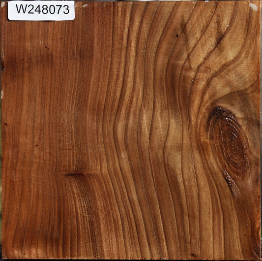 Elm Bowl Blank