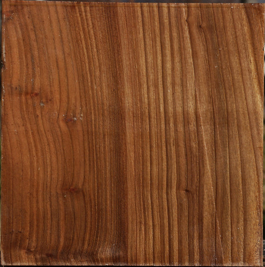 Elm Bowl Blank
