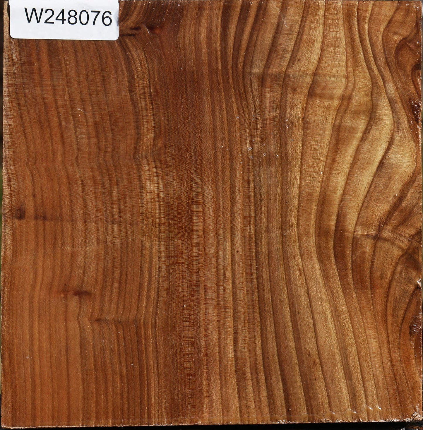 Elm Bowl Blank