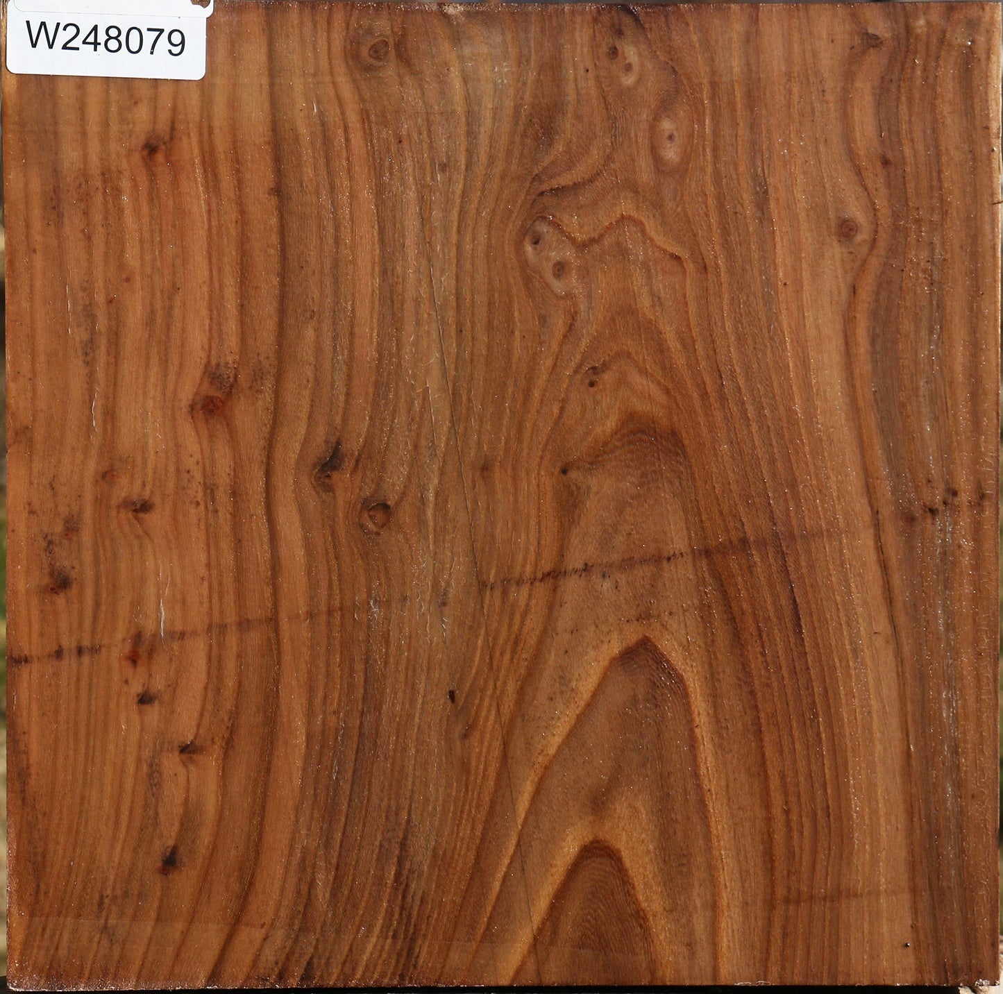Elm Bowl Blank