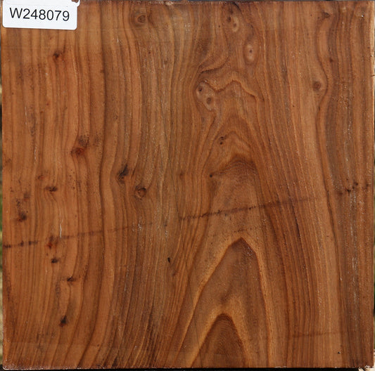 Elm Bowl Blank