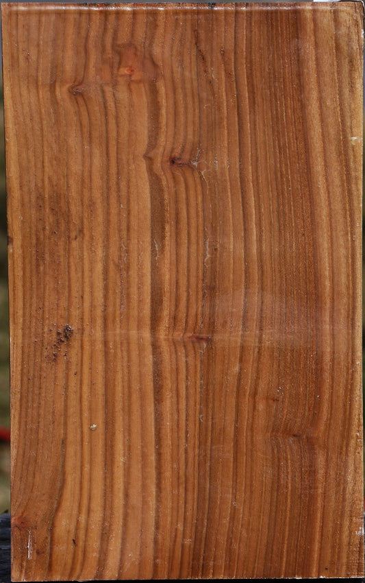 Elm Vessel Blank