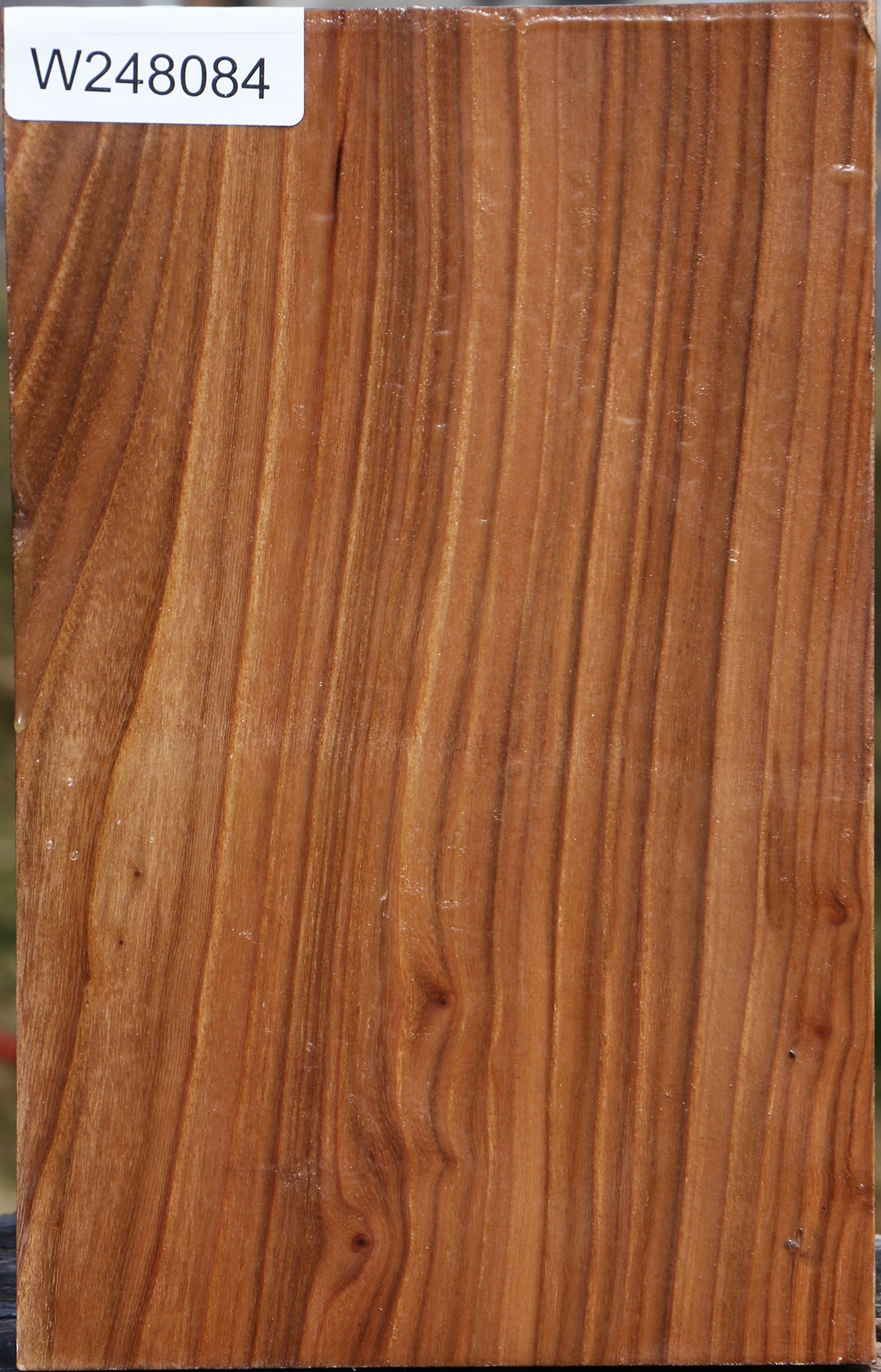 Elm Vessel Blank