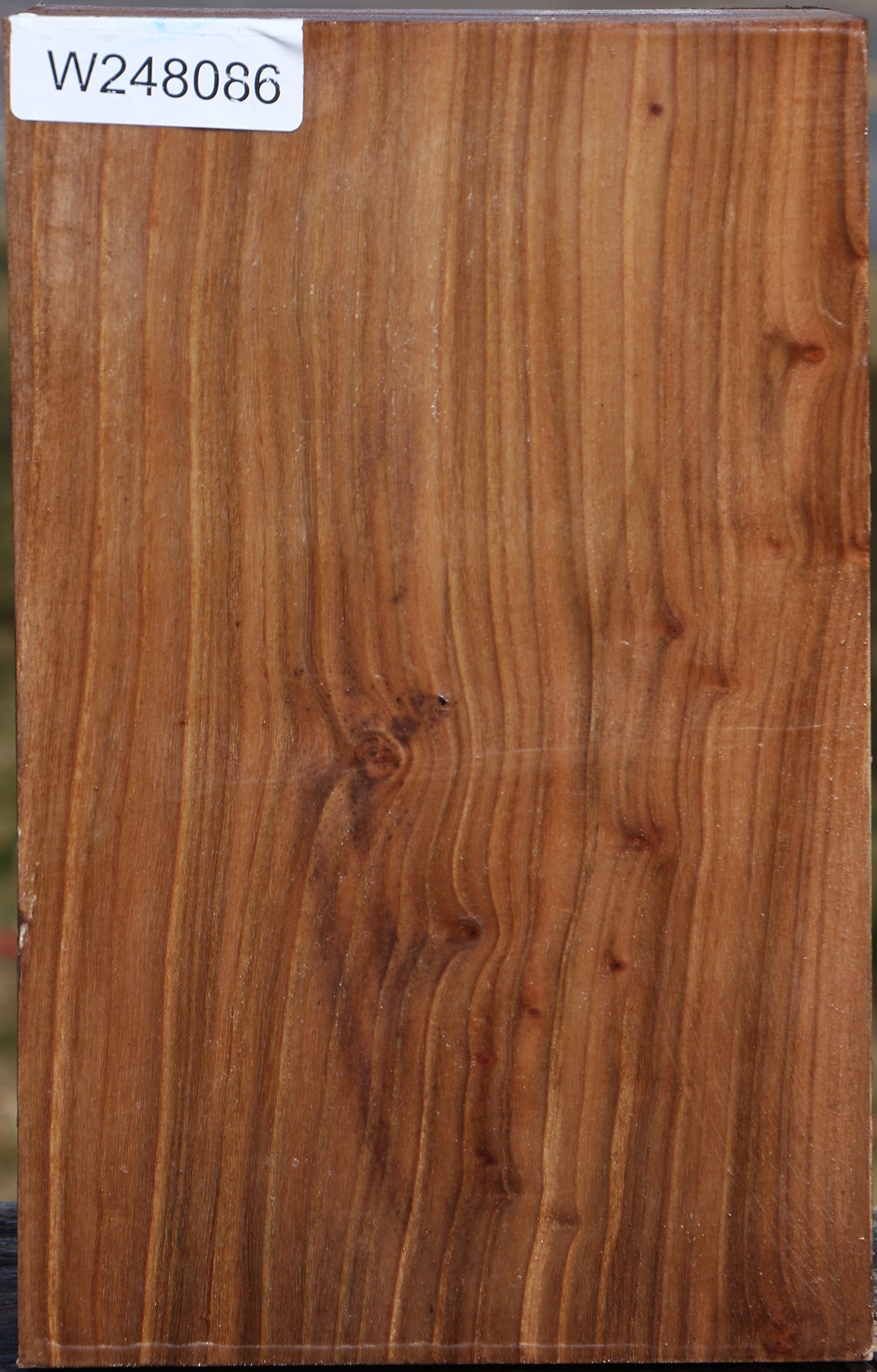 Elm Vessel Blank