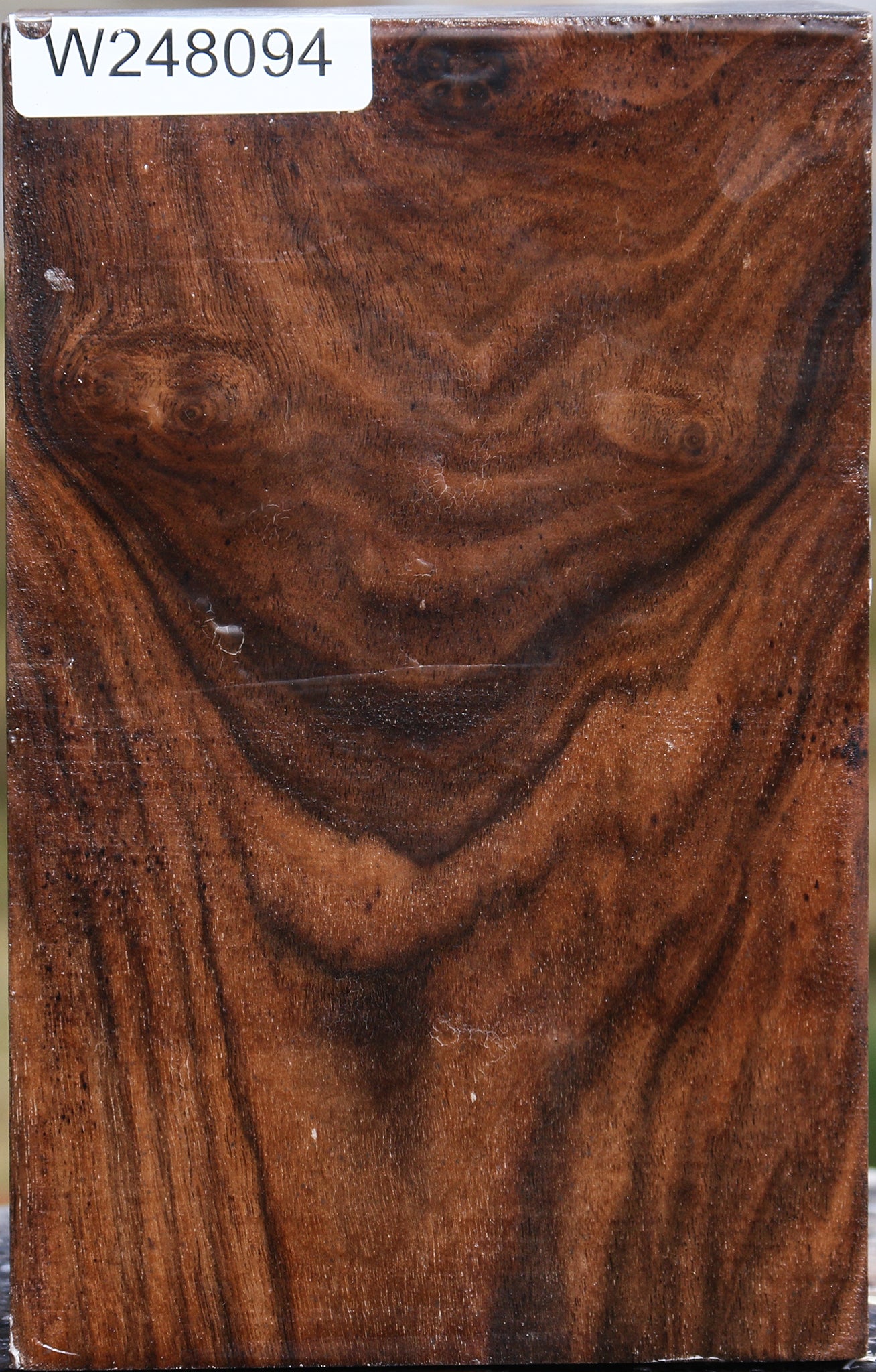 Claro Walnut Vessel Blank – Cook Woods