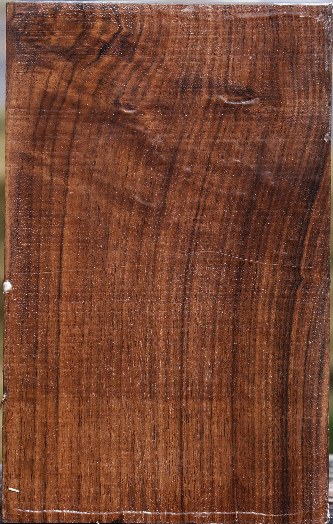 Claro Walnut Vessel Blank