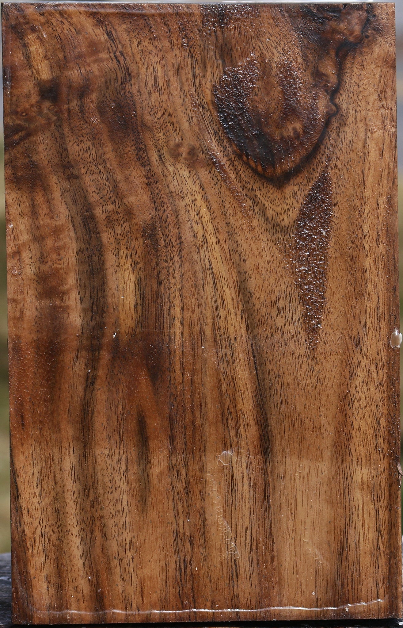 Claro Walnut Vessel Blank