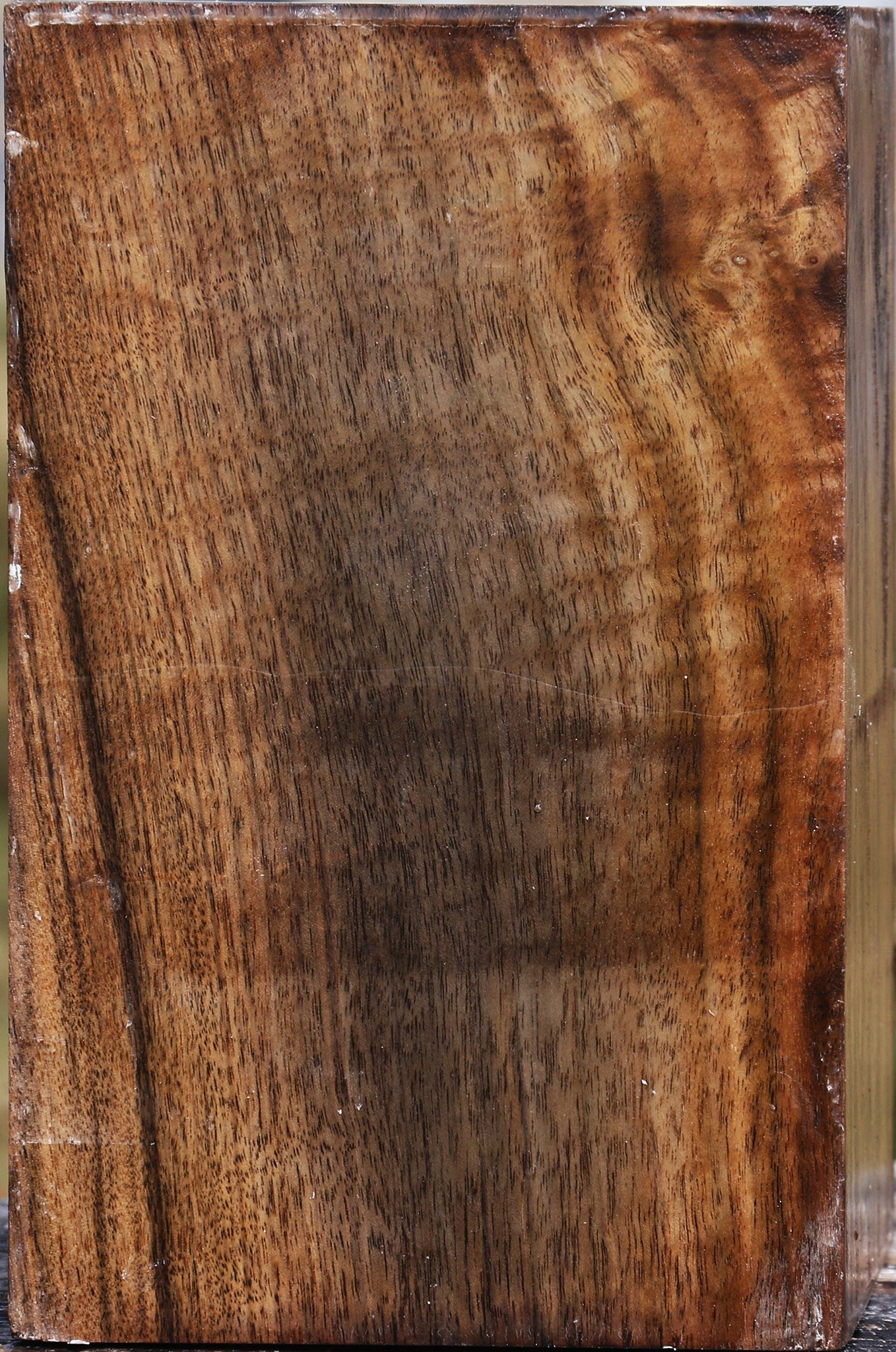 Claro Walnut Vessel Blank