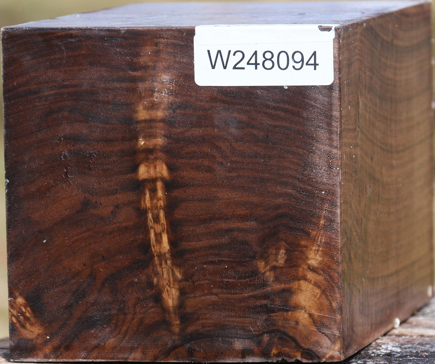 Claro Walnut Vessel Blank