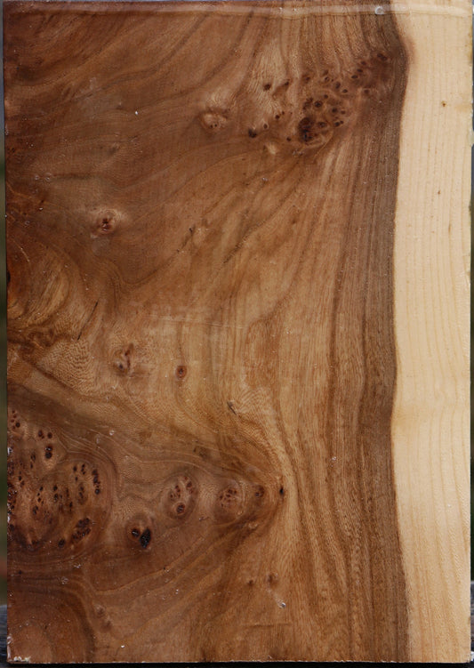 Elm Vessel Blank