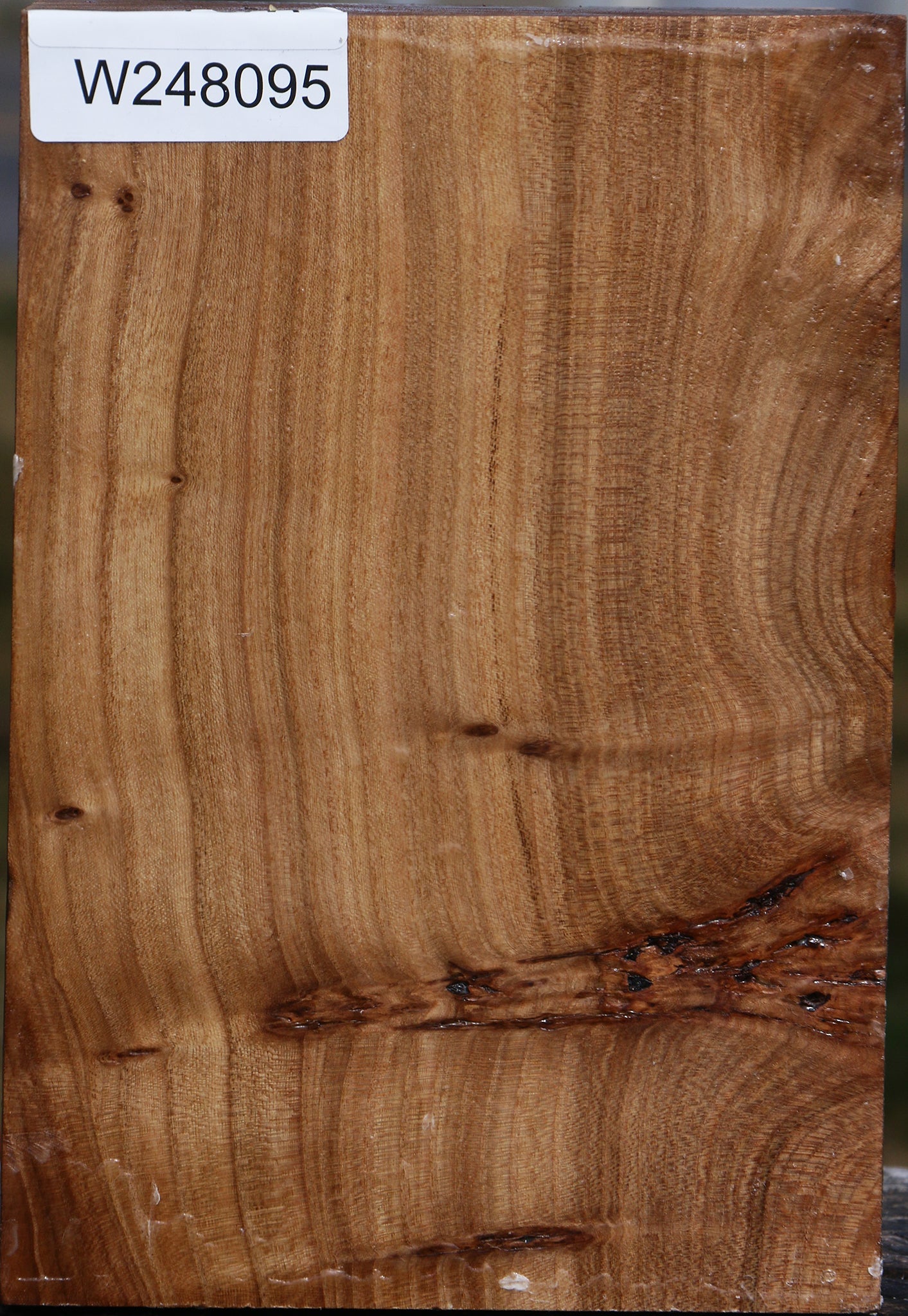 Elm Vessel Blank