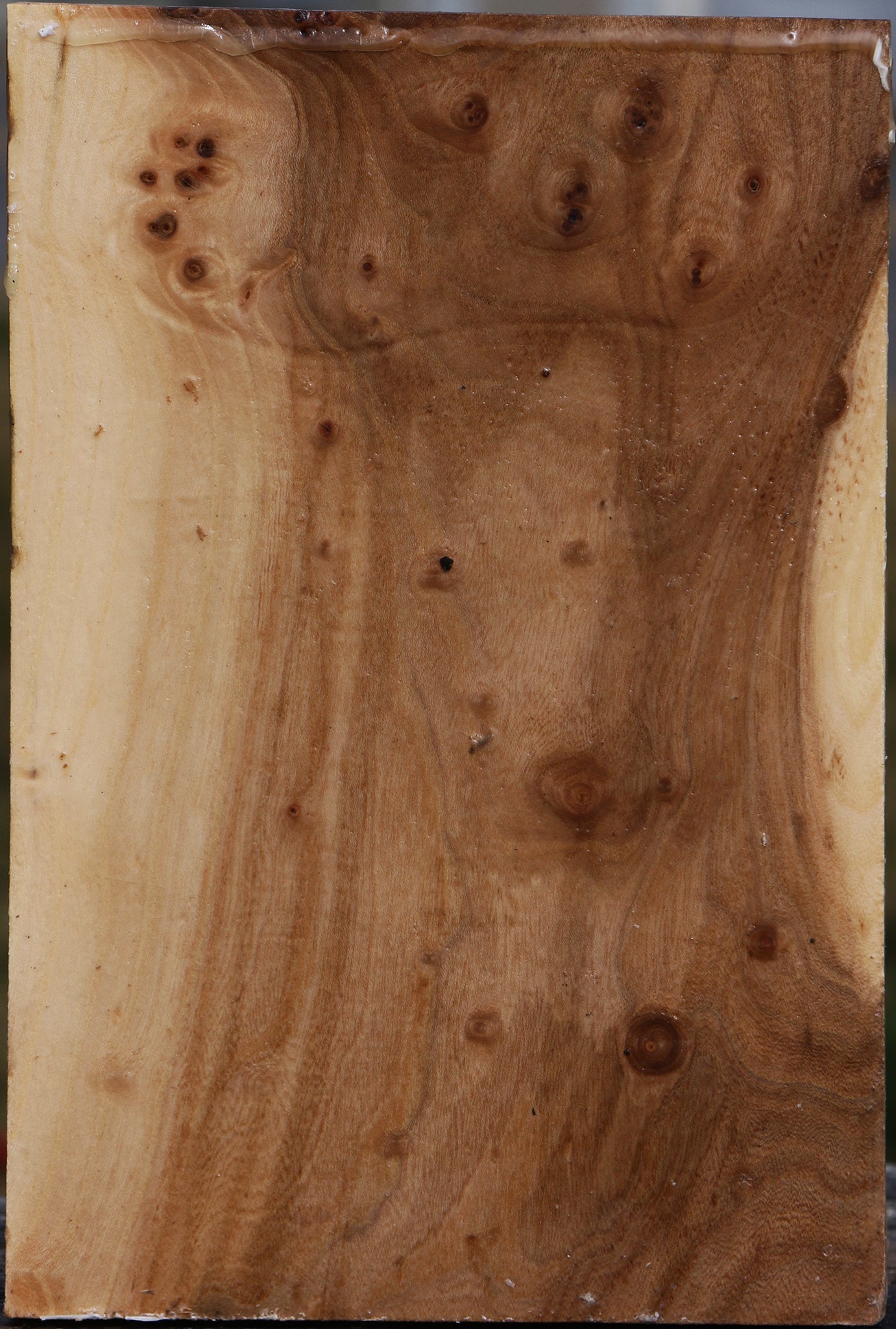 Elm Vessel Blank