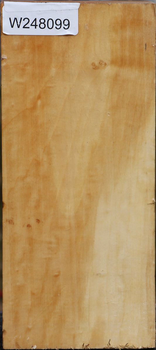Box Elder Vessel Blank