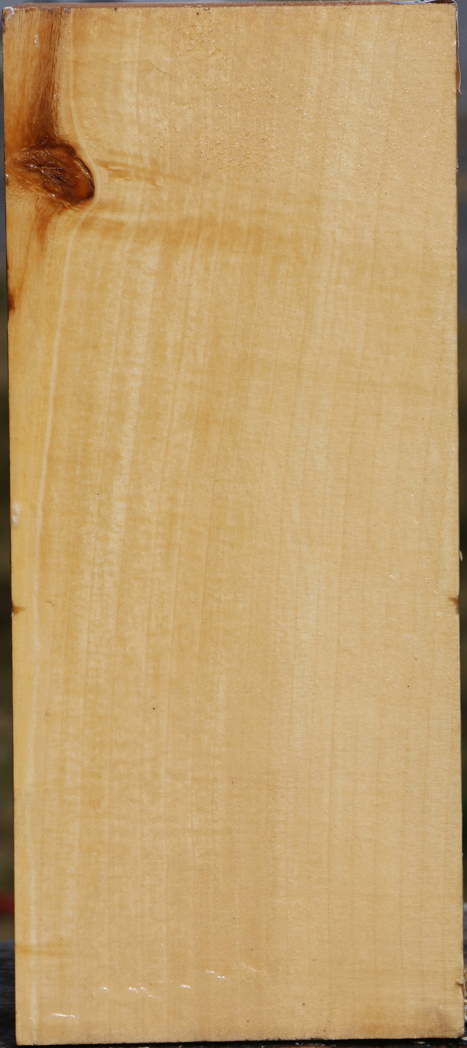 Box Elder Vessel Blank