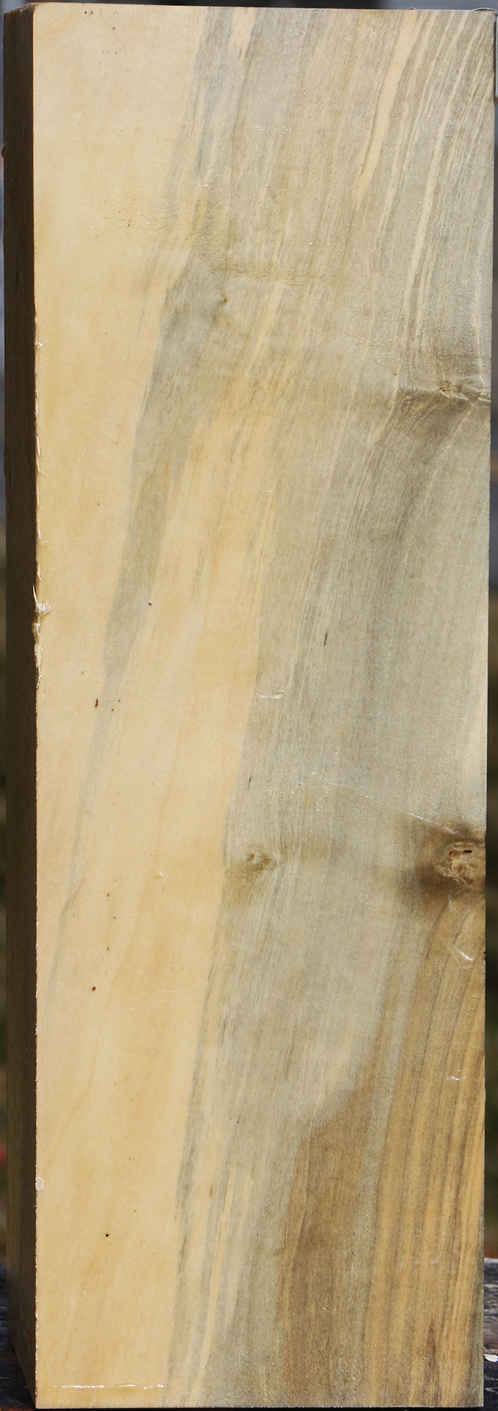 Box Elder Vessel Blank