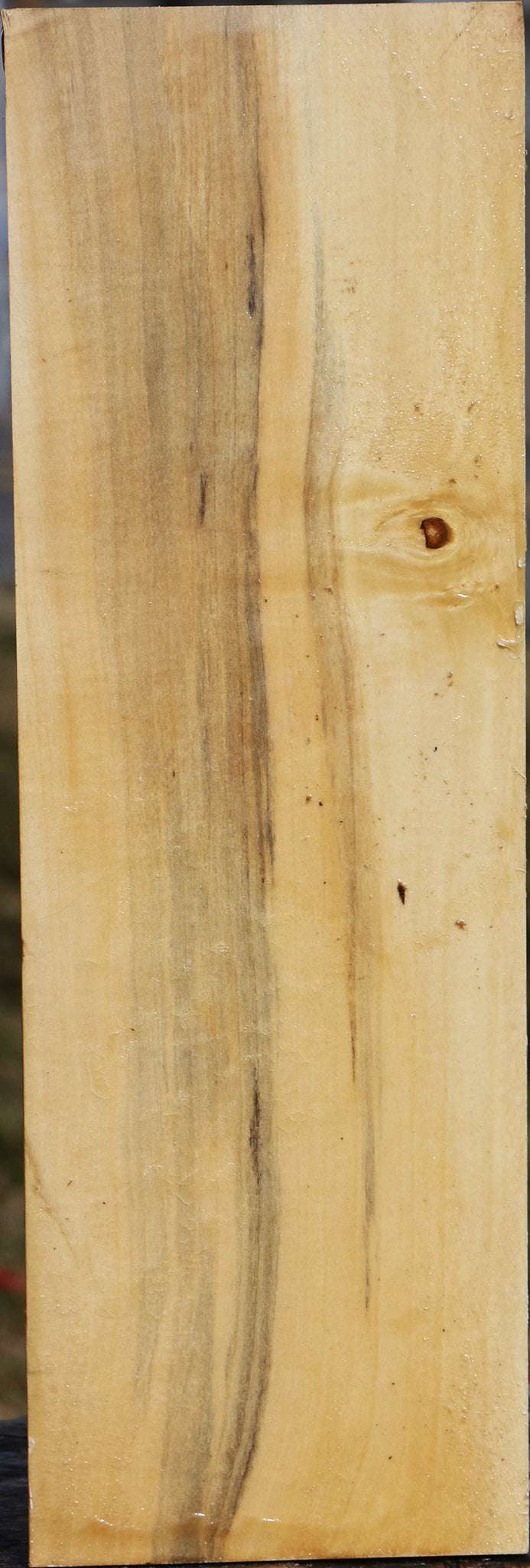 Box Elder Vessel Blank