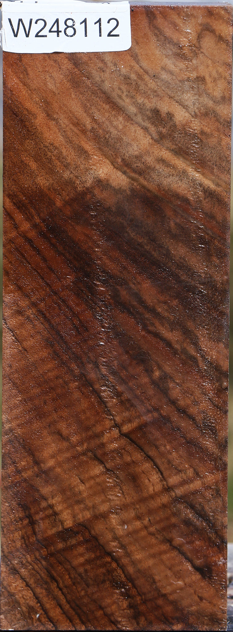 Extra Fancy Elm Vessel Blank