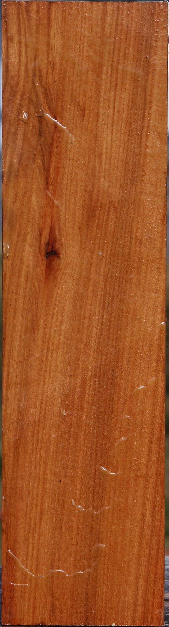 Chinese Elm Vessel Blank