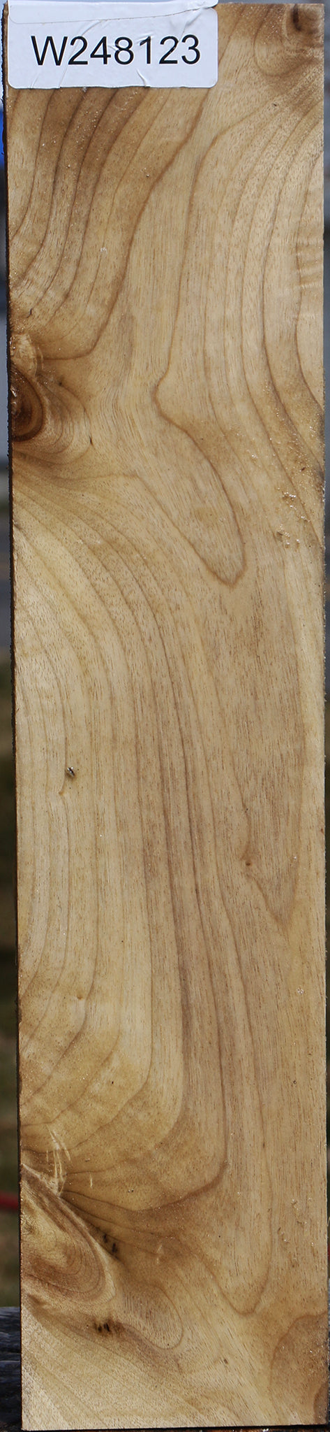 Elm Vessel Blank