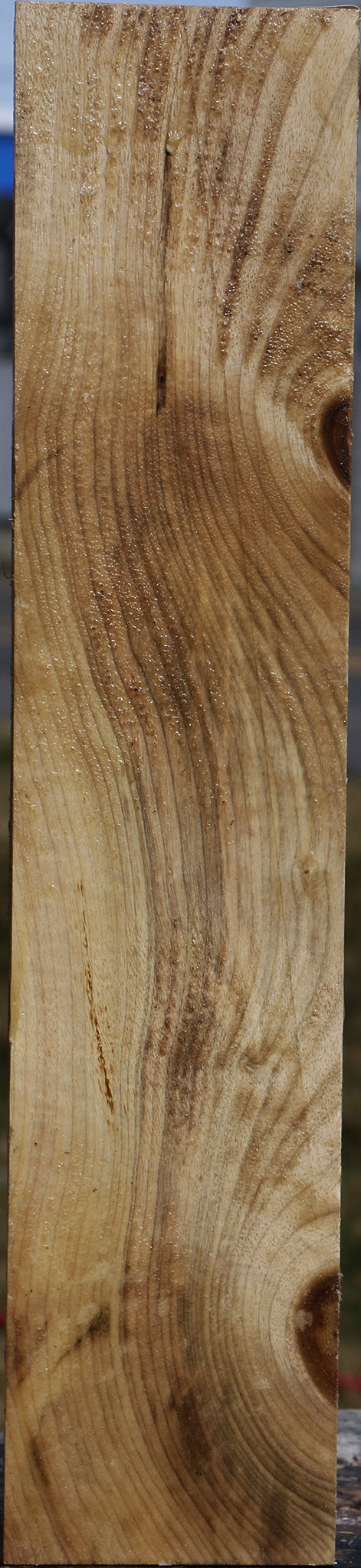 Elm Vessel Blank