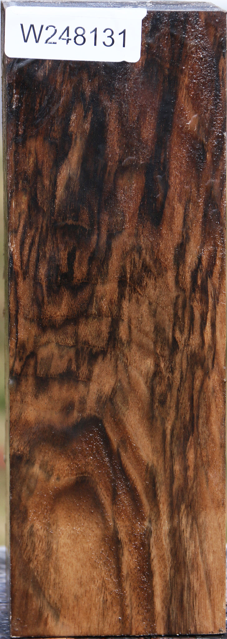 Extra Fancy English Walnut Vessel Blank