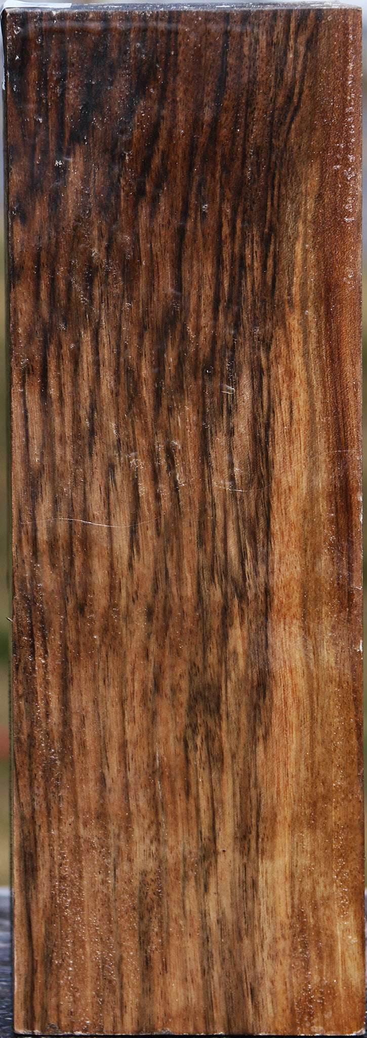 Extra Fancy English Walnut Vessel Blank