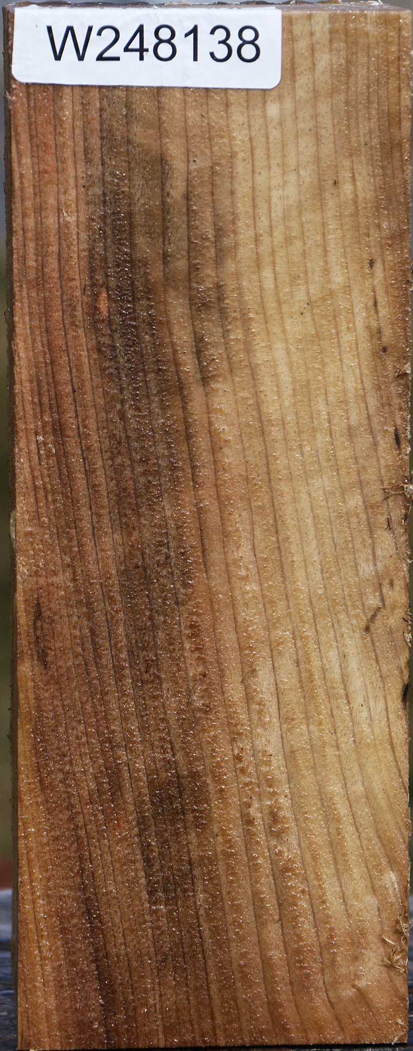 Myrtle Vessel Blank