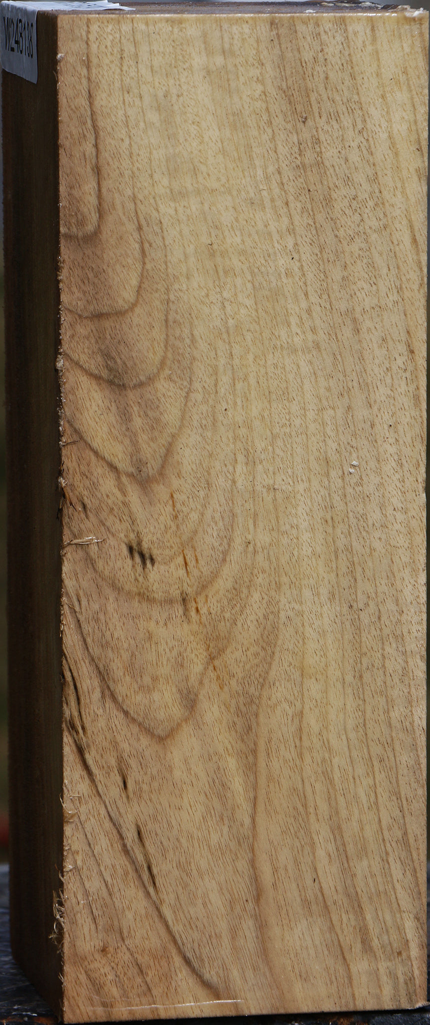 Myrtle Vessel Blank