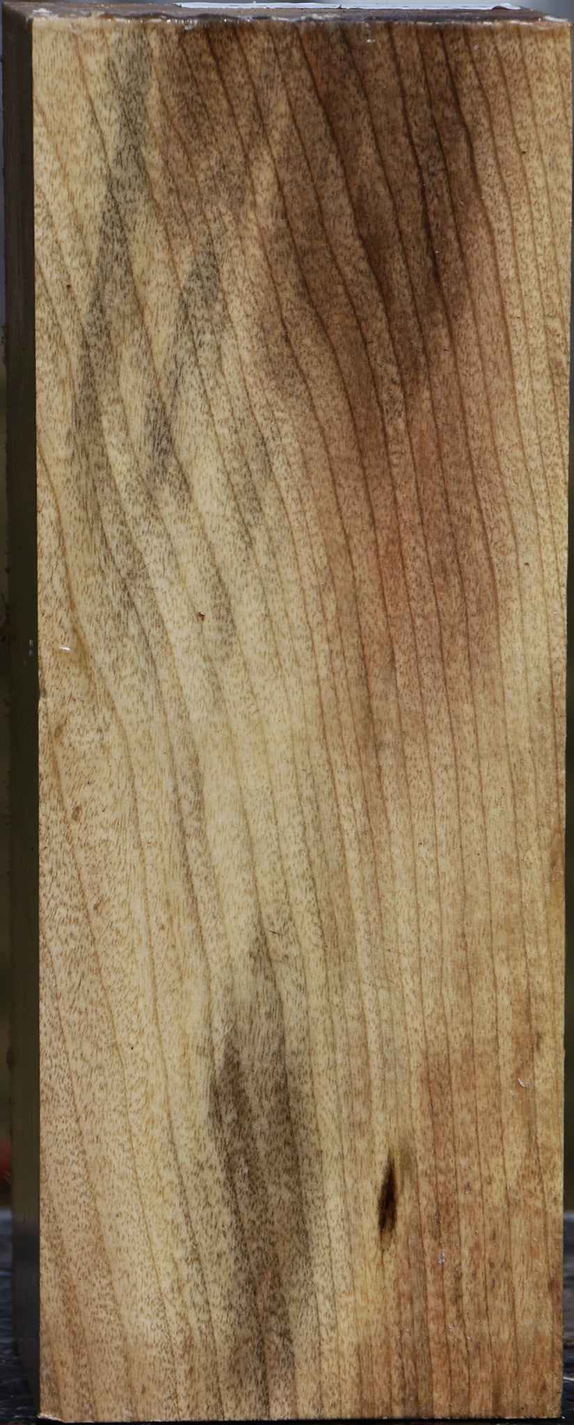 Myrtle Vessel Blank