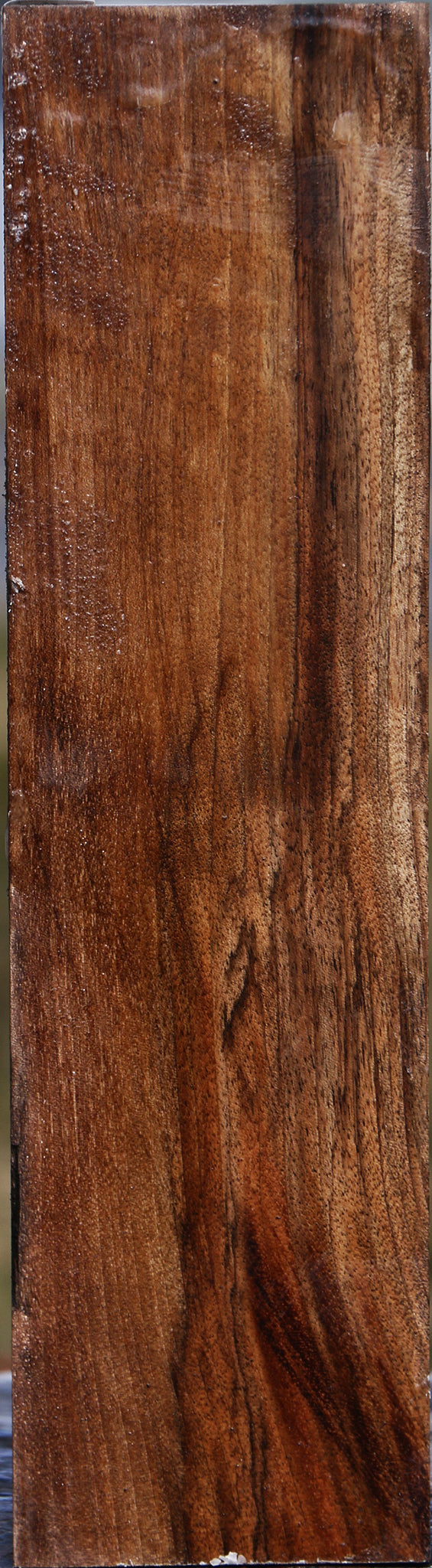 Extra Fancy English Walnut Peppermill