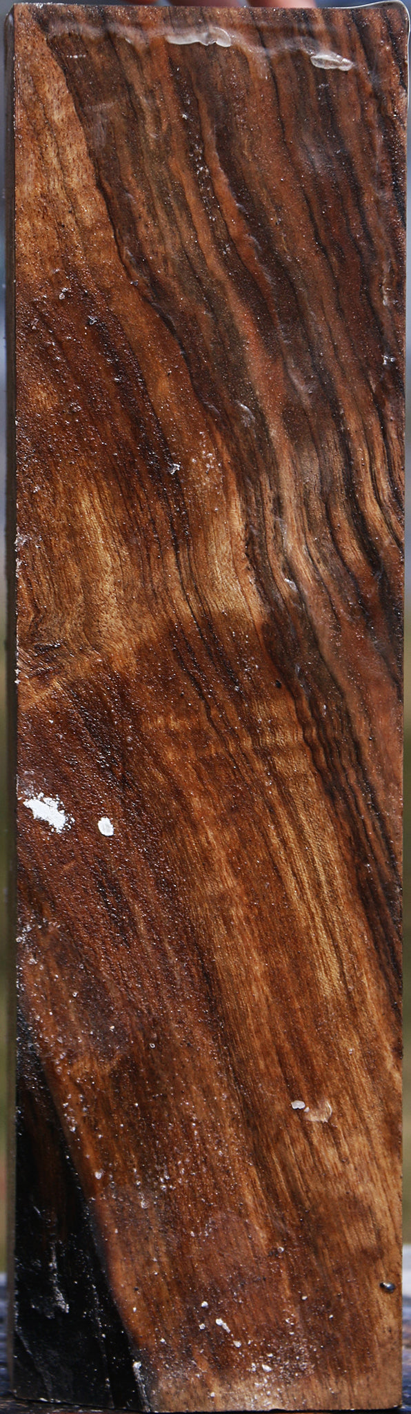 Figured Elm Peppermill