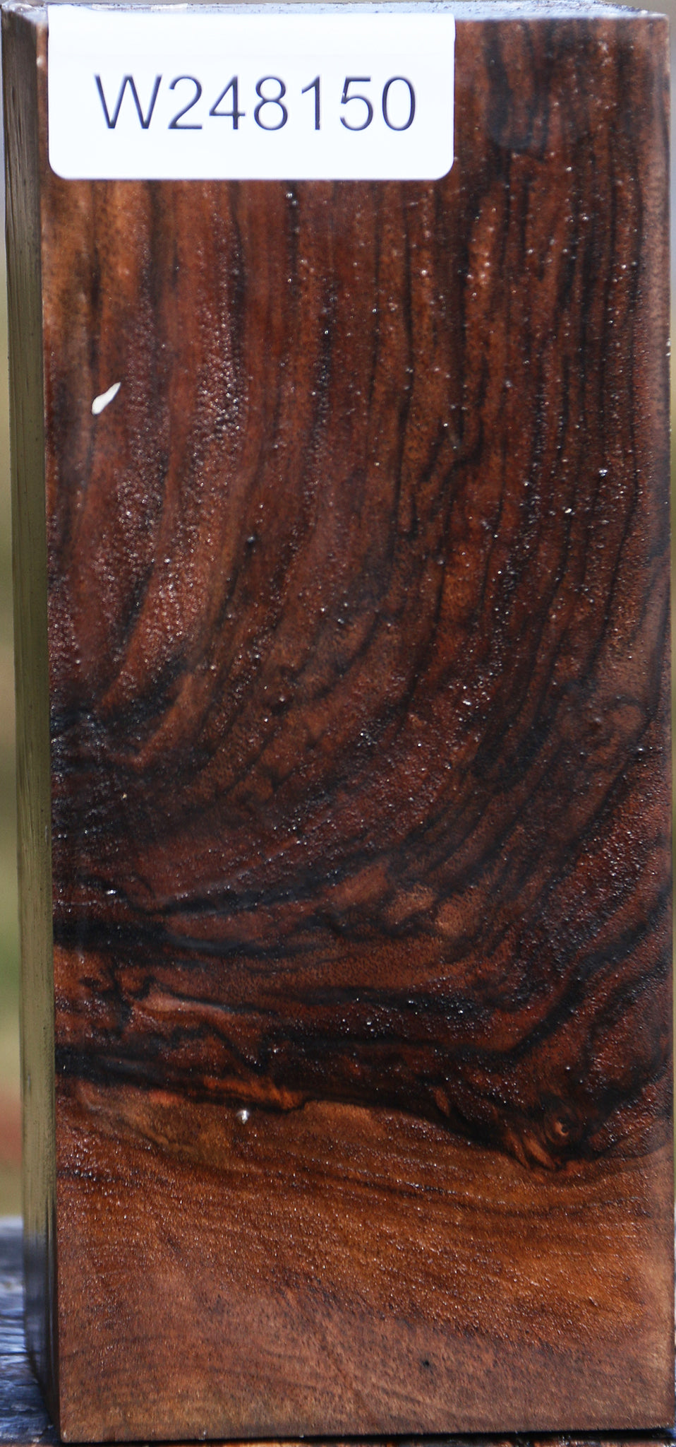 Figured English Walnut Vessel Blank