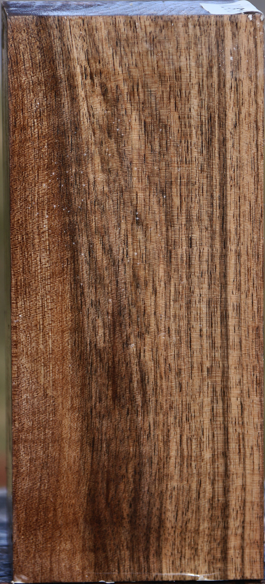 Claro Walnut Vessel Blank