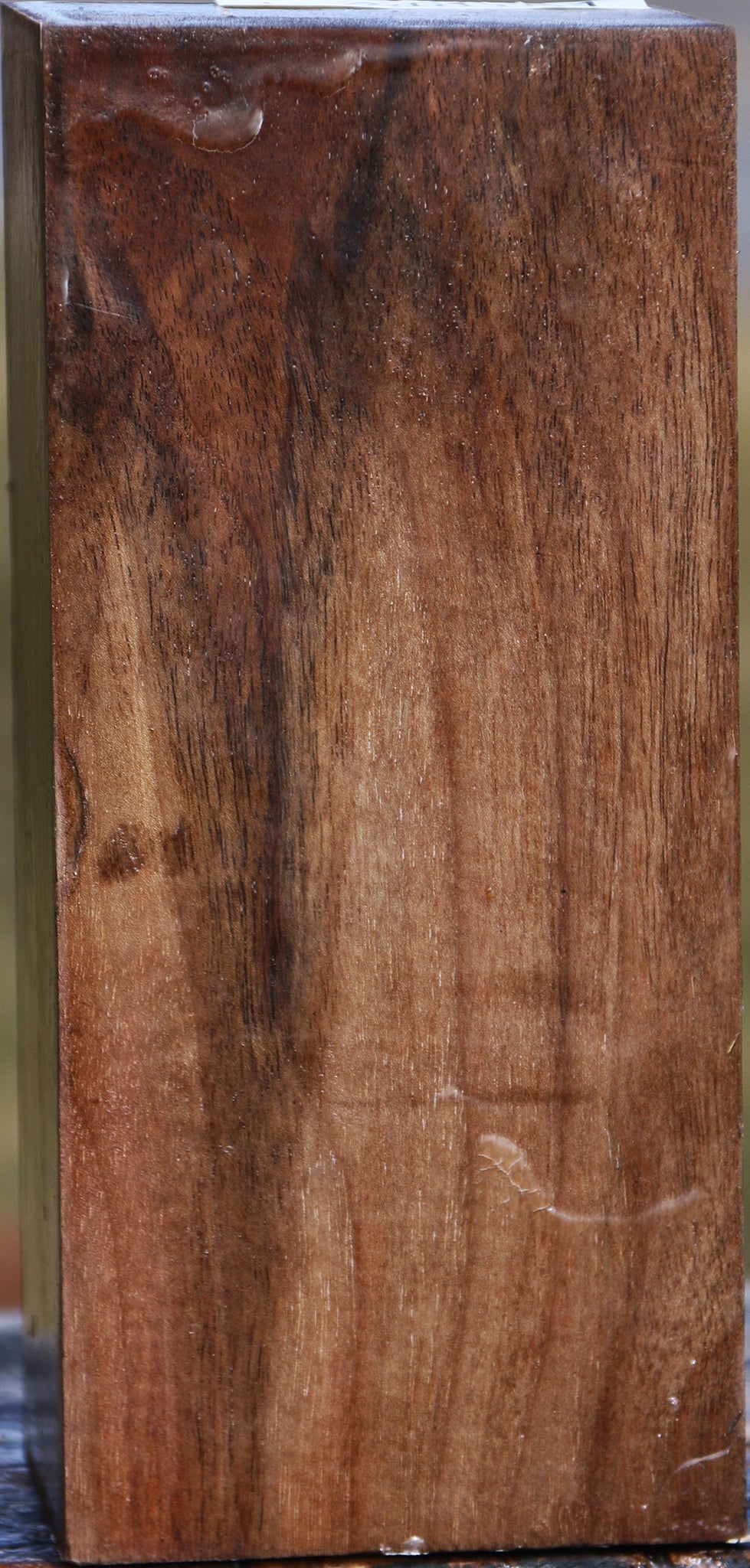 Claro Walnut Vessel Blank