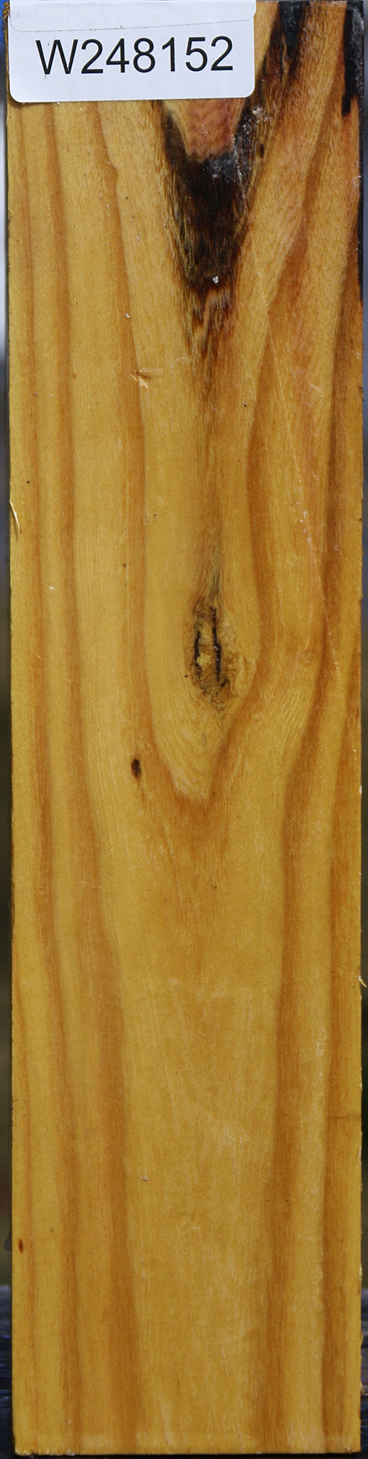 Black Locust Vessel Blank