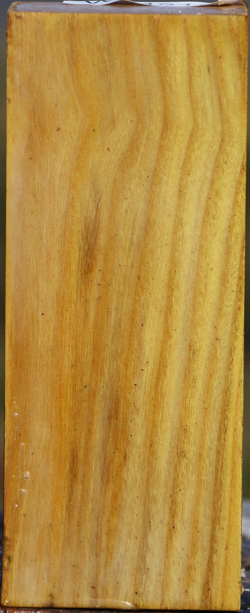 Black Locust, Species_Locust; Black, Turning Squares, Turning Wood,