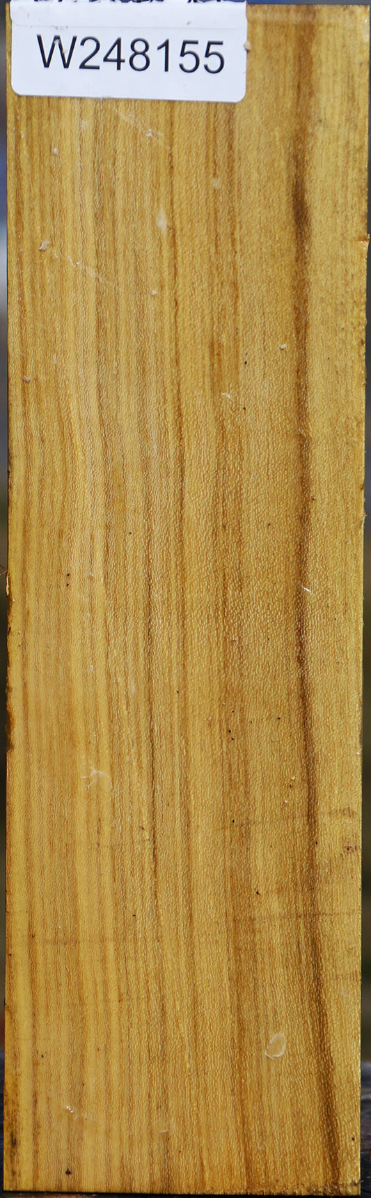 Black Locust Vessel Blank