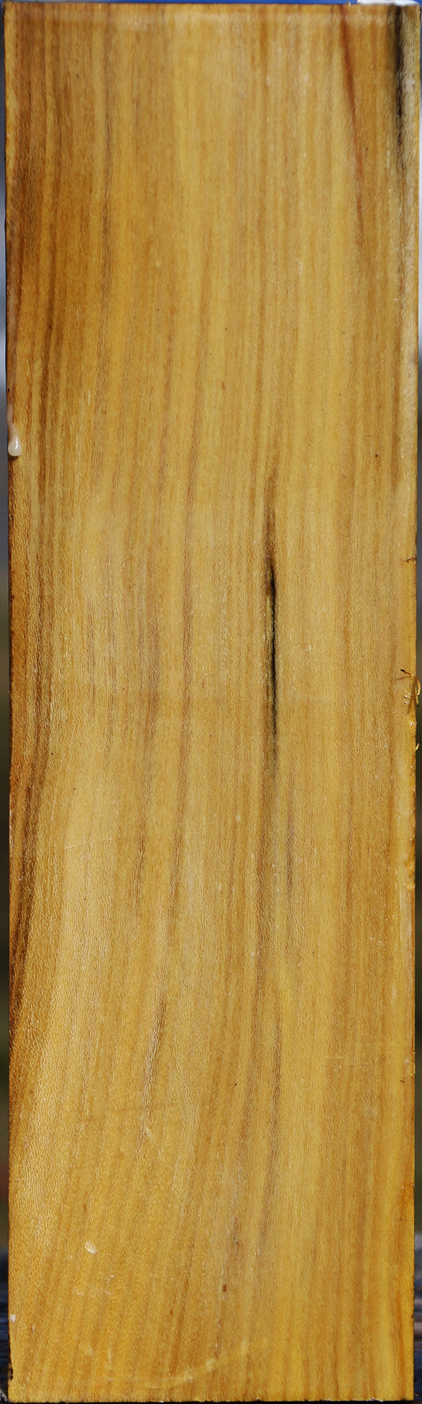 Black Locust Vessel Blank